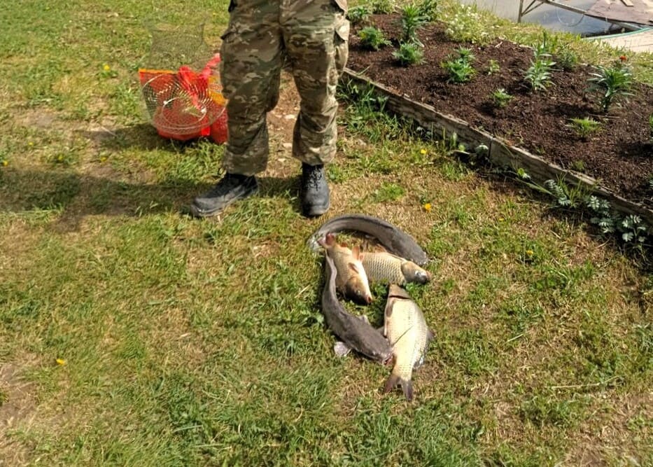 Офисы по адресу 